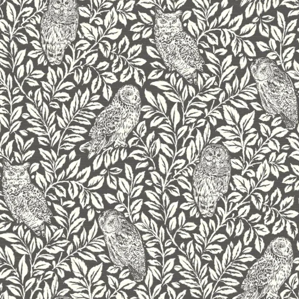 Wallpaper Parliament Owl Black &White